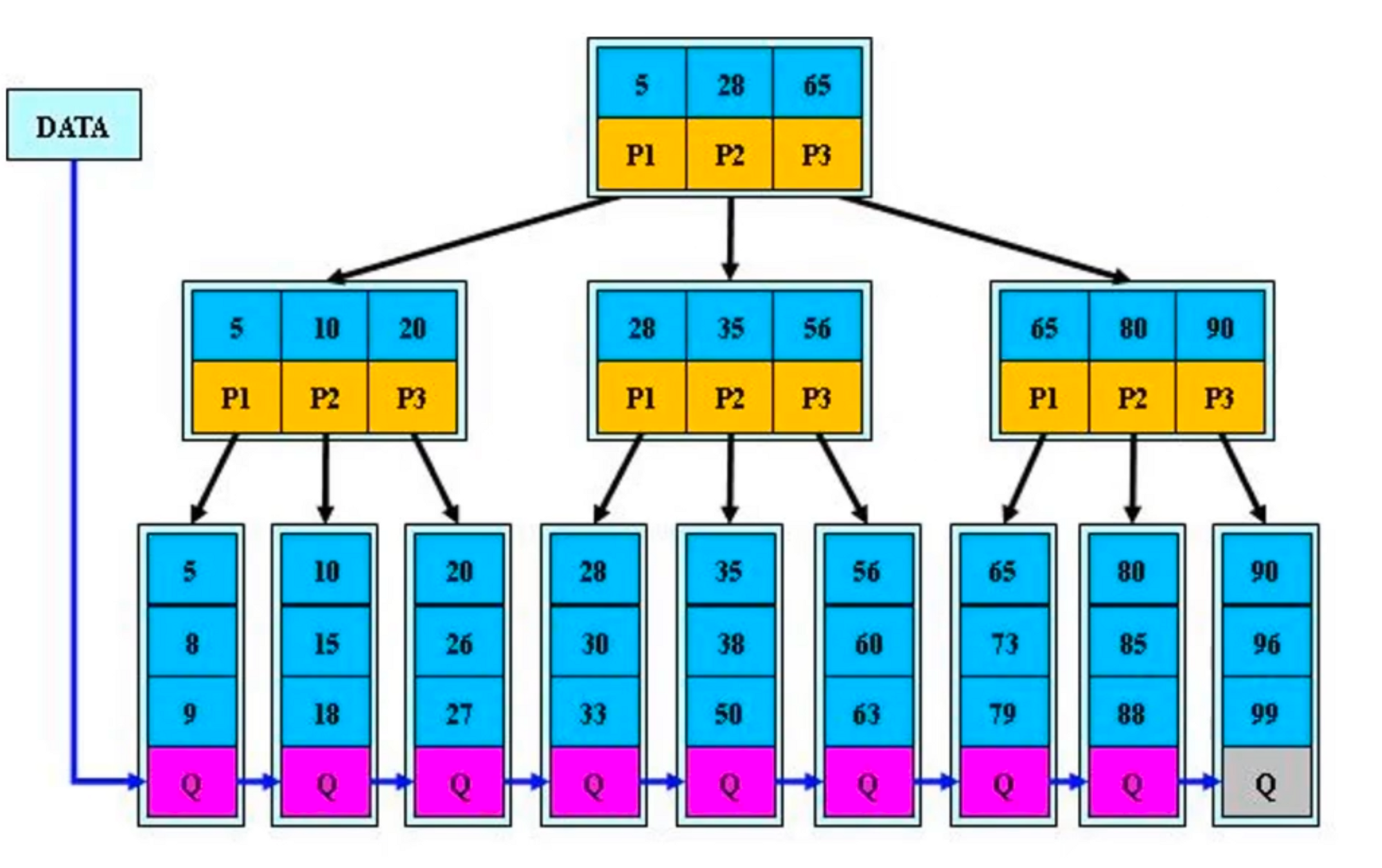 B+ tree B+ tree